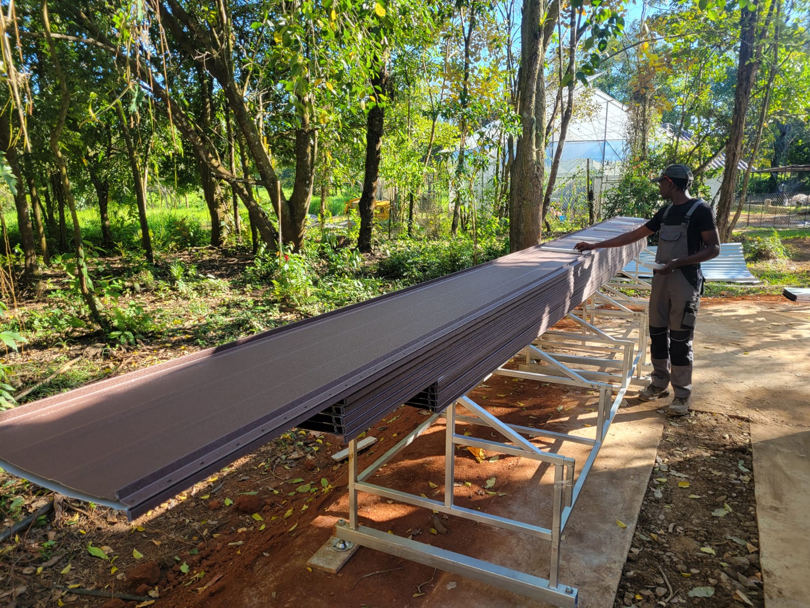 whatsapp image 2025 12 25 at 11.48.30 am